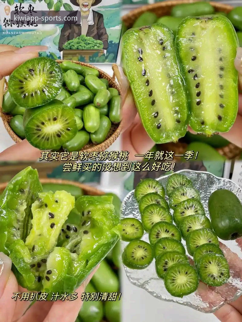 奇异果体育中国版教程全面解析：从下载安装到实战操作的专业指南